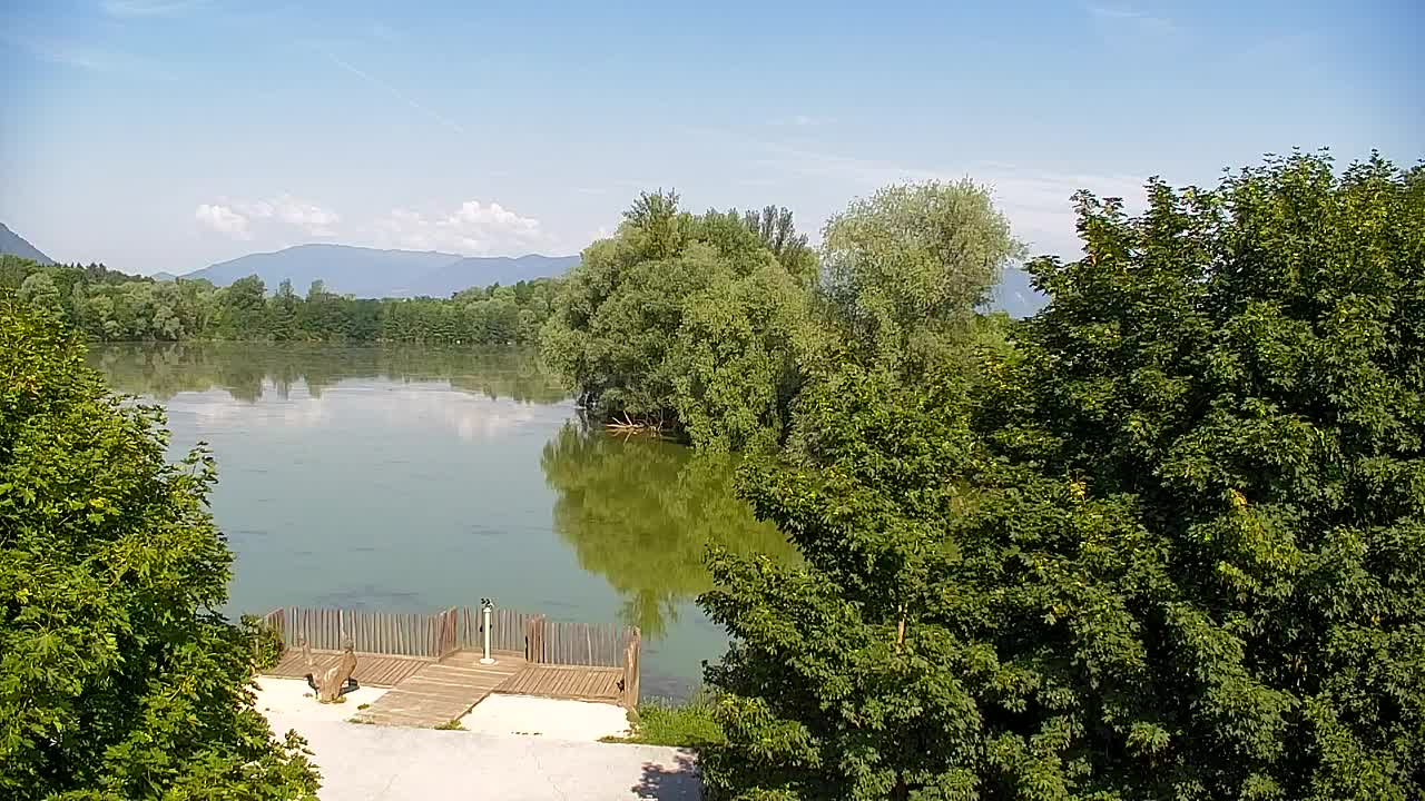 Spletna kamera Ribnik Vrbje – Žalec
