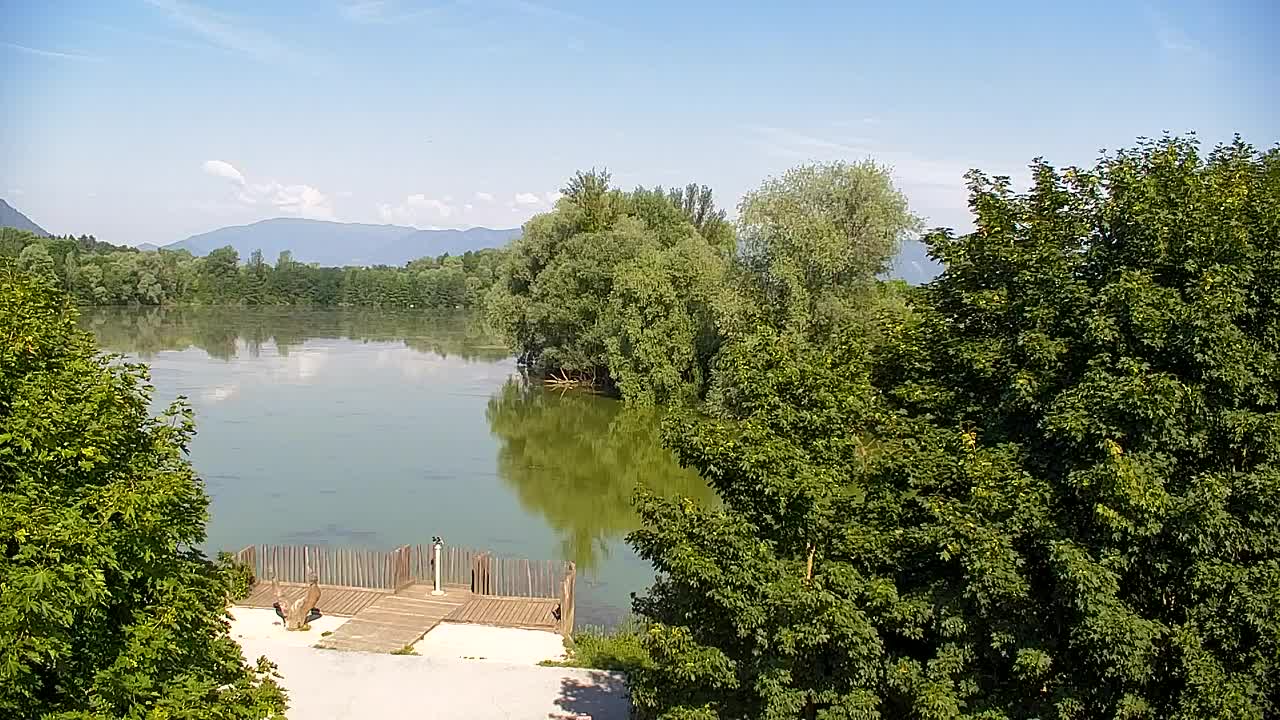 Webcam Ribnik Vrbje – Žalec