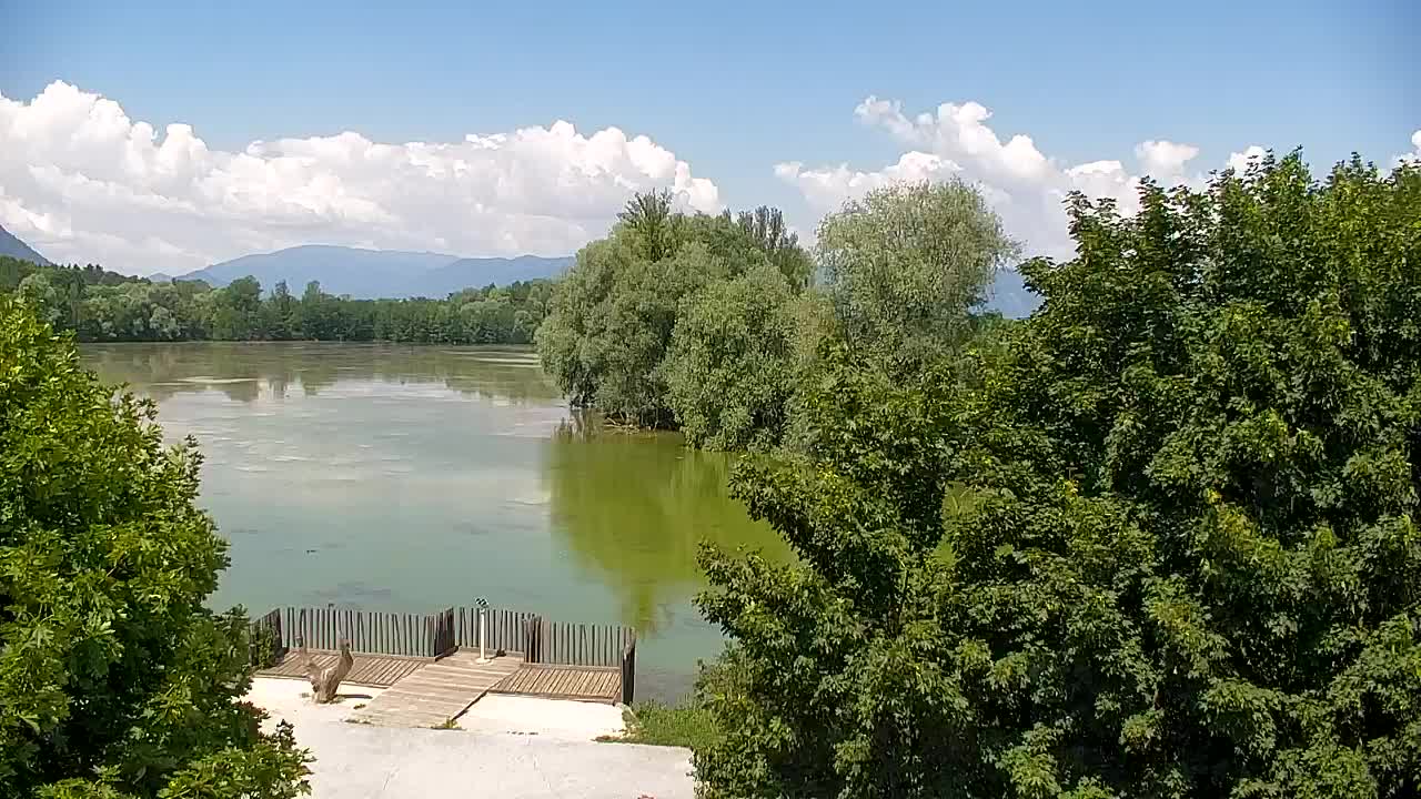 Webcam Ribnik Vrbje – Žalec