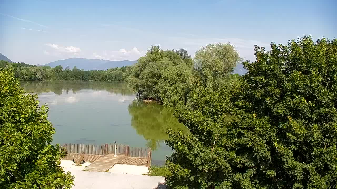 Webcam Ribnik Vrbje – Žalec