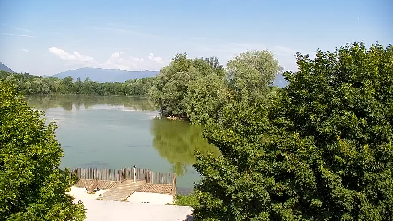 Webcam Ribnik Vrbje – Žalec