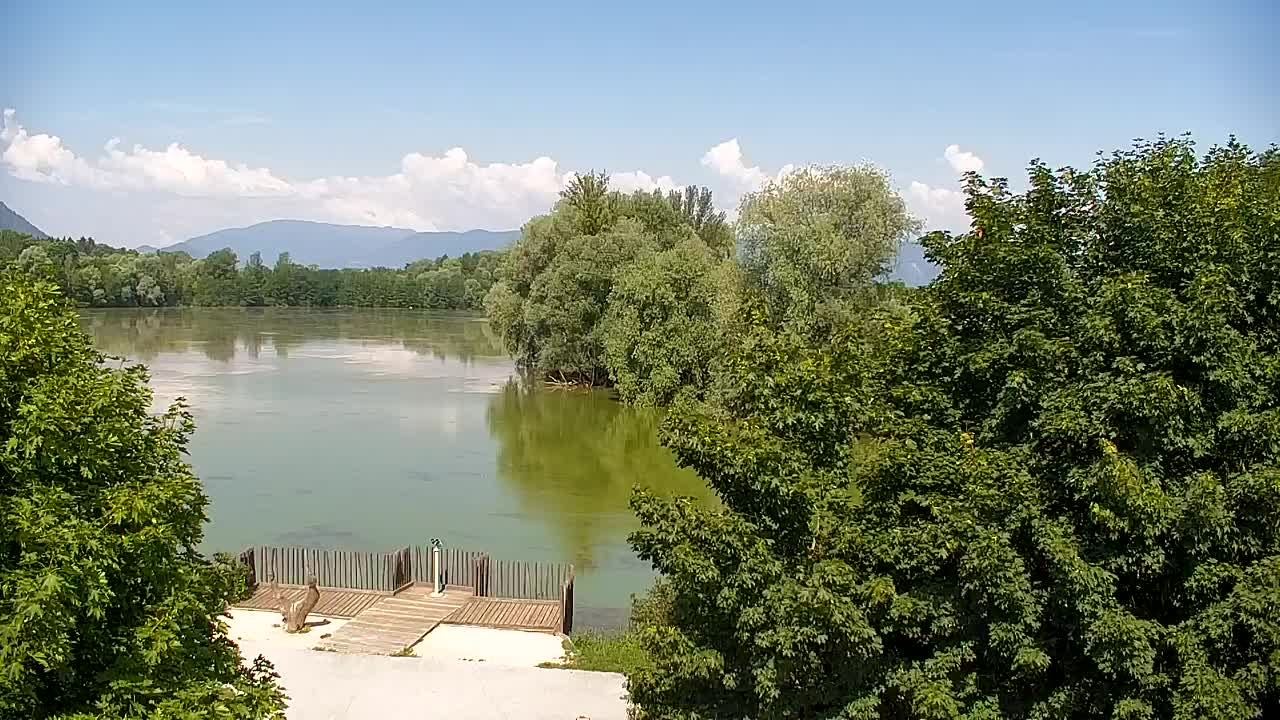 Webcam Ribnik Vrbje – Žalec