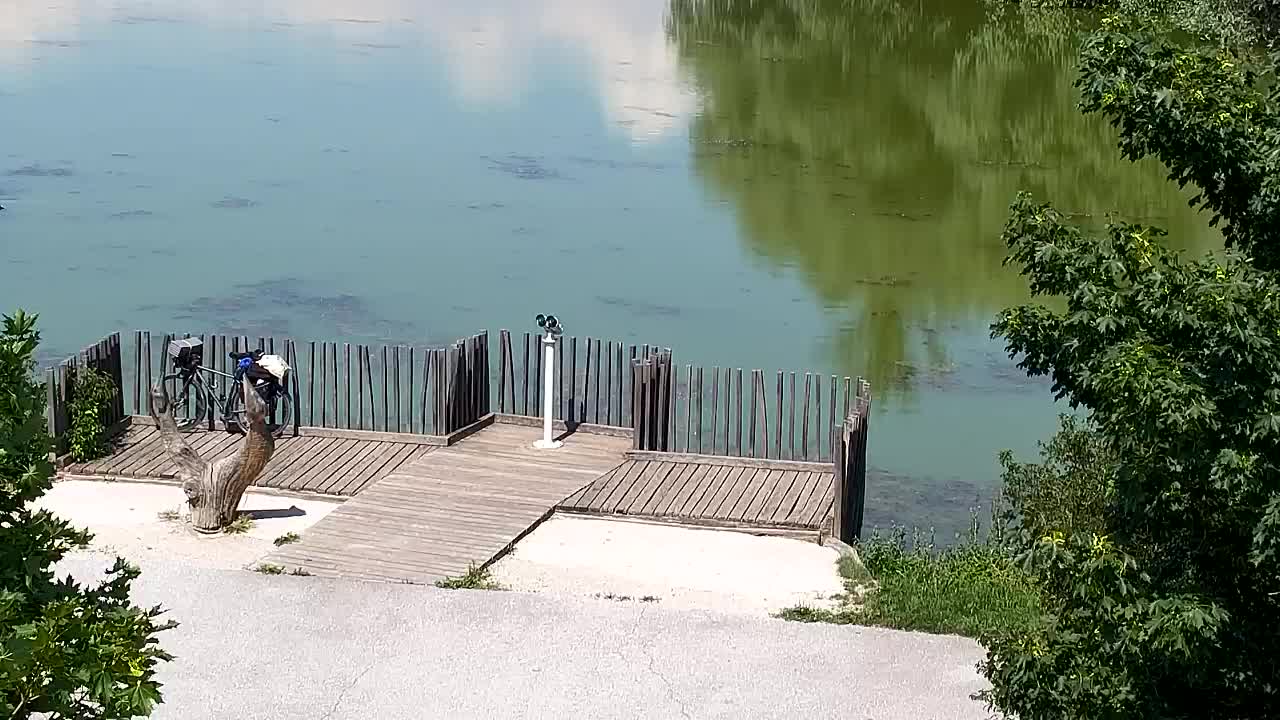 Webcam Ribnik Vrbje – Žalec