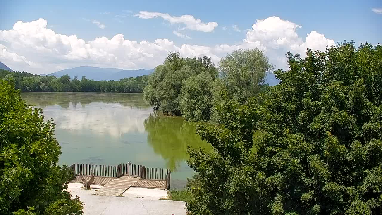 Webcam Ribnik Vrbje – Žalec