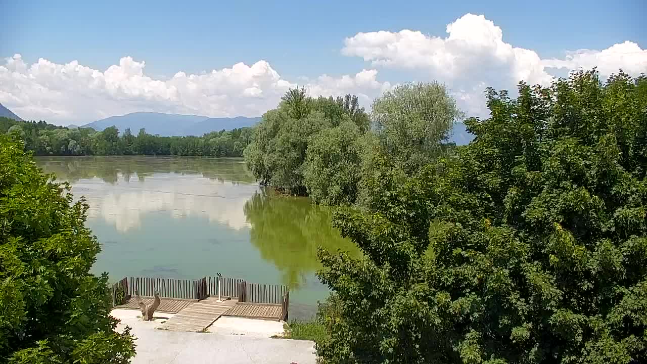 Web kamera Ribnik Vrbje – Žalec