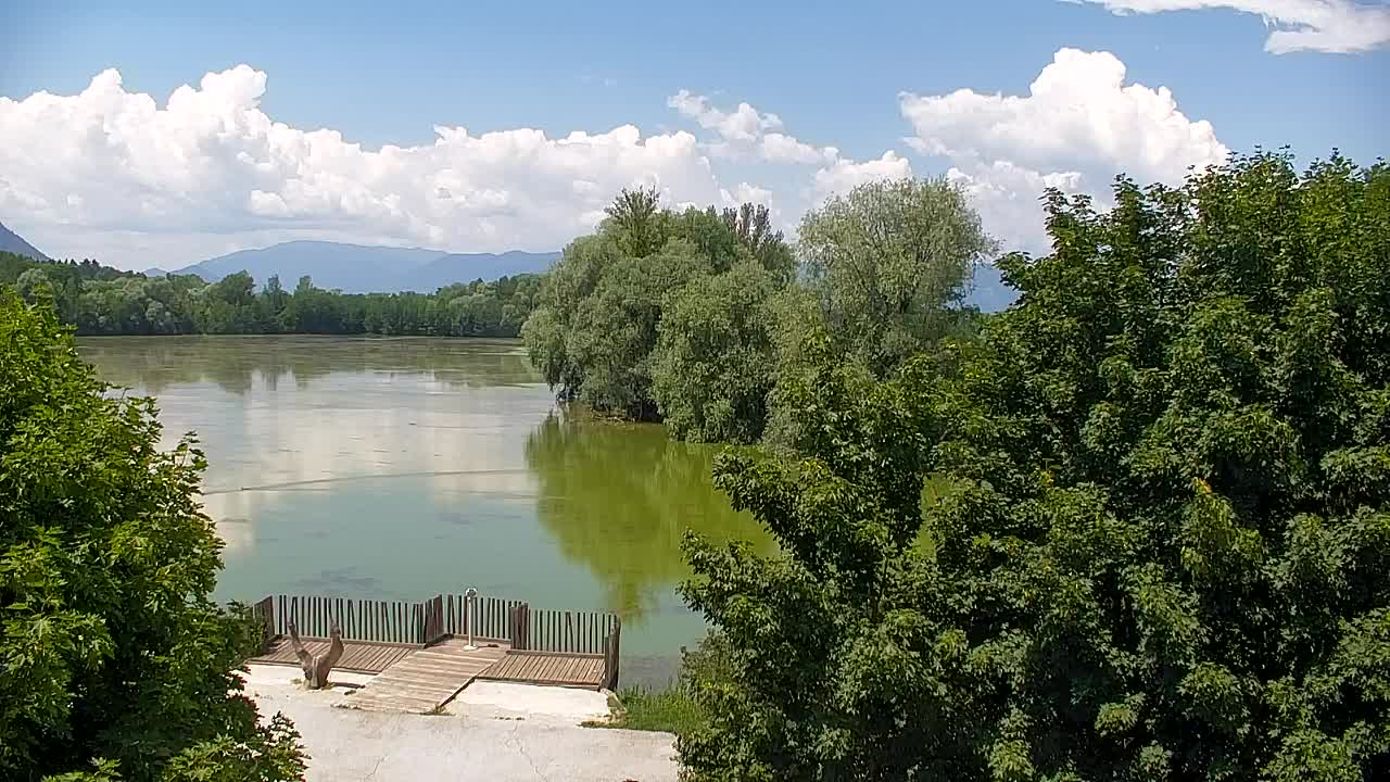 Web kamera Ribnik Vrbje – Žalec