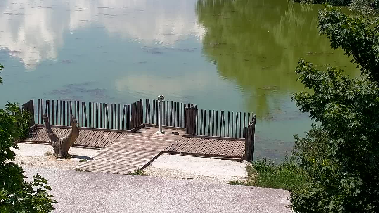 Webcam Ribnik Vrbje – Žalec