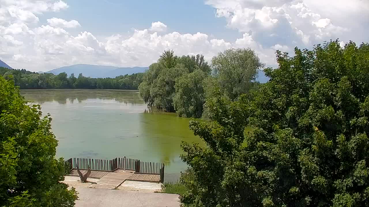Webcam Ribnik Vrbje – Žalec