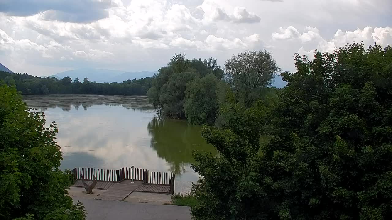 Webcam Ribnik Vrbje – Žalec