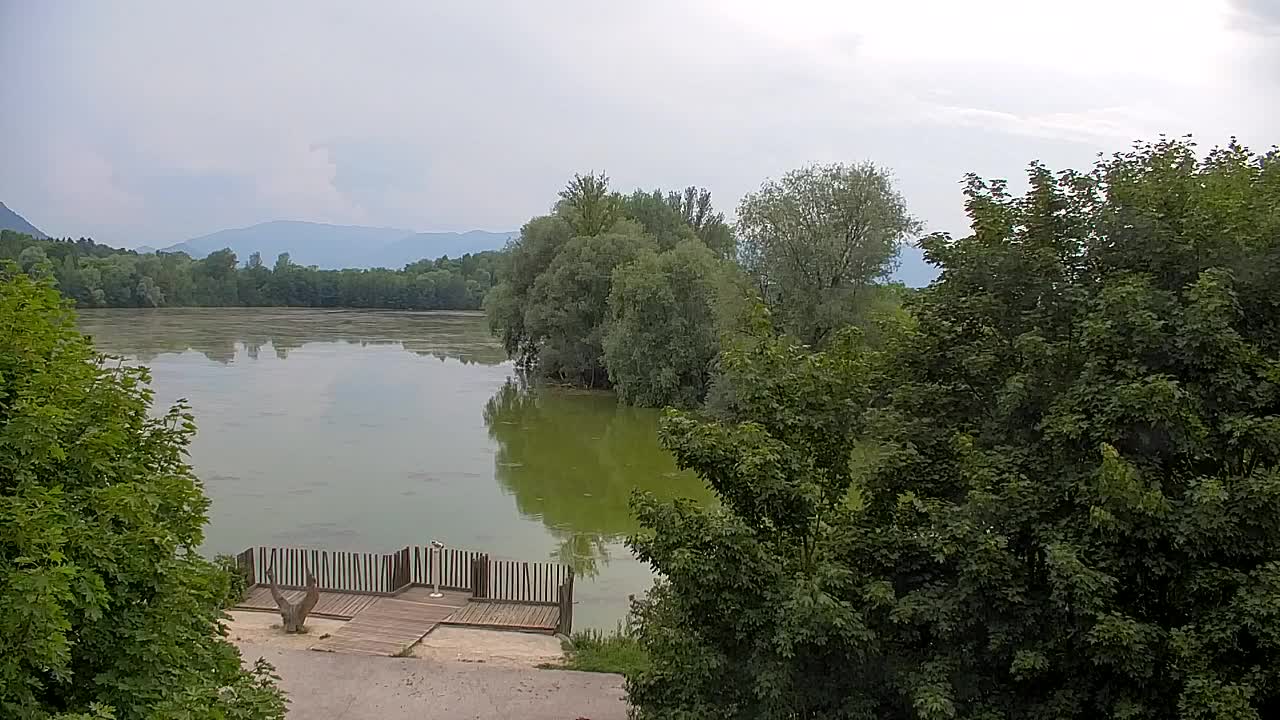 Webcam Ribnik Vrbje – Žalec