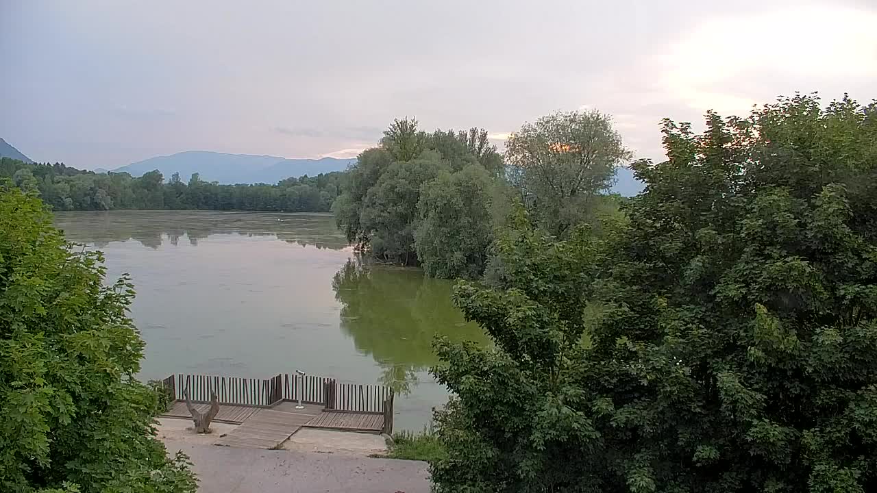 Webcam Ribnik Vrbje – Žalec