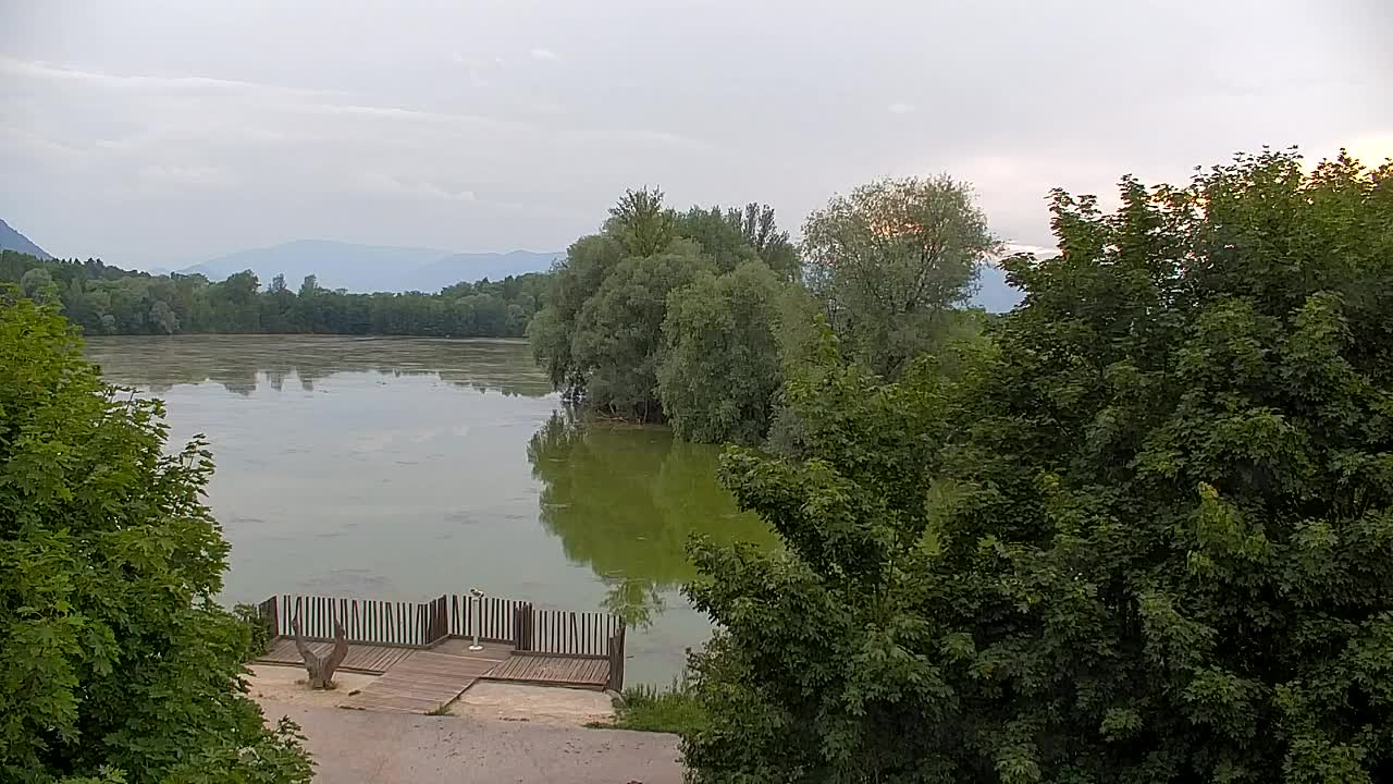 Webcam Ribnik Vrbje – Žalec