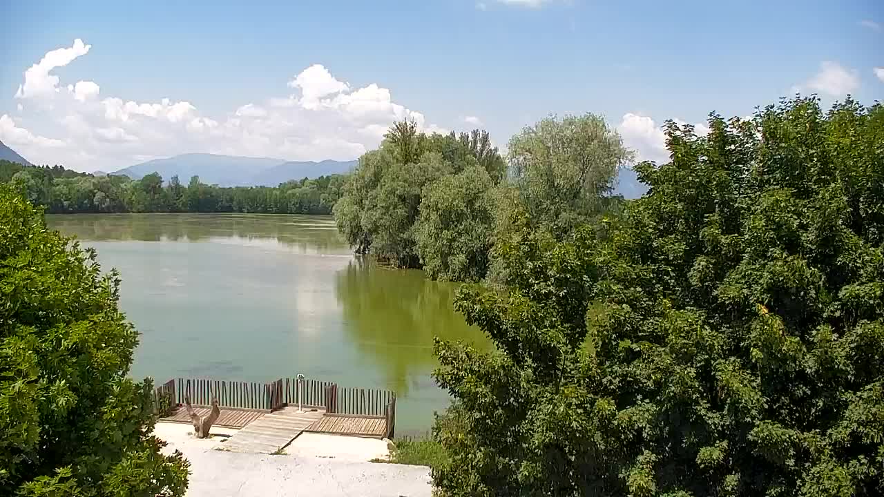 Webcam Ribnik Vrbje – Žalec