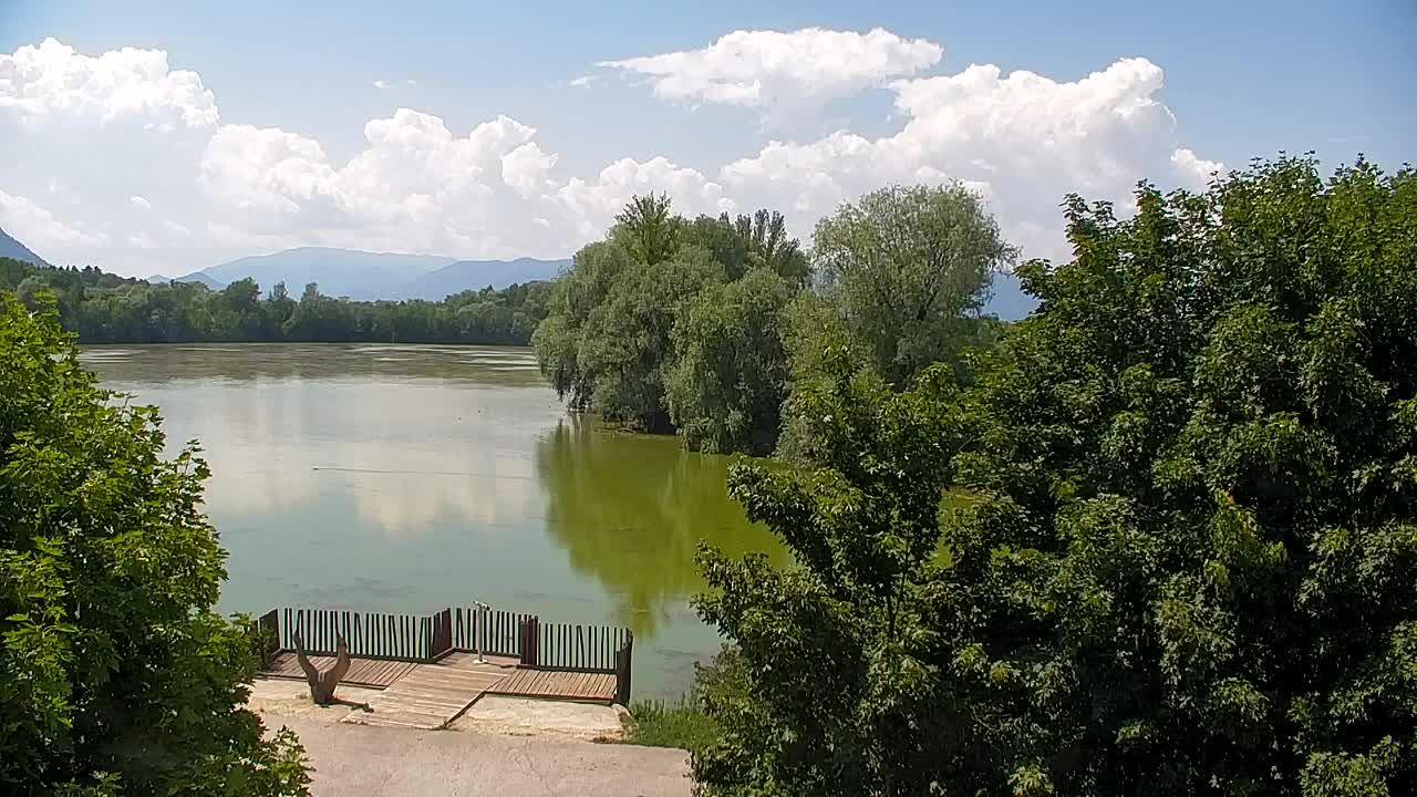 Webcam Ribnik Vrbje – Žalec