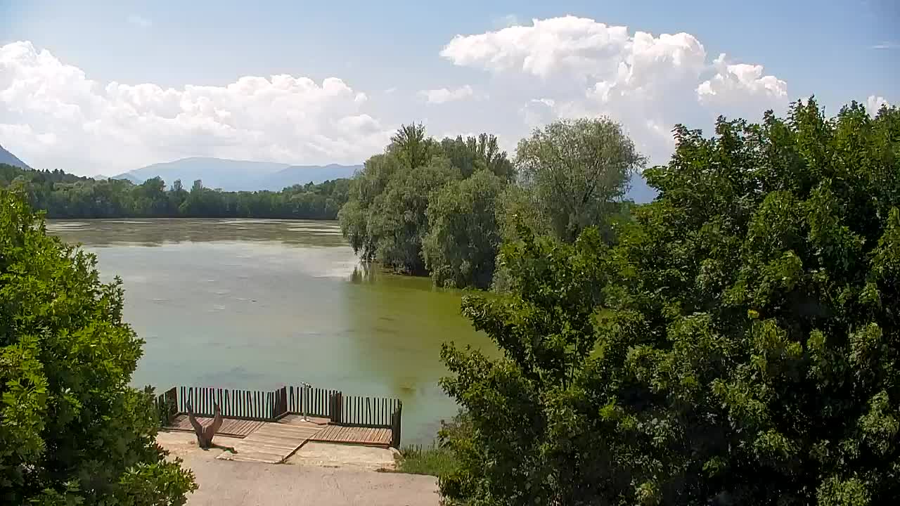 Webcam Ribnik Vrbje – Žalec