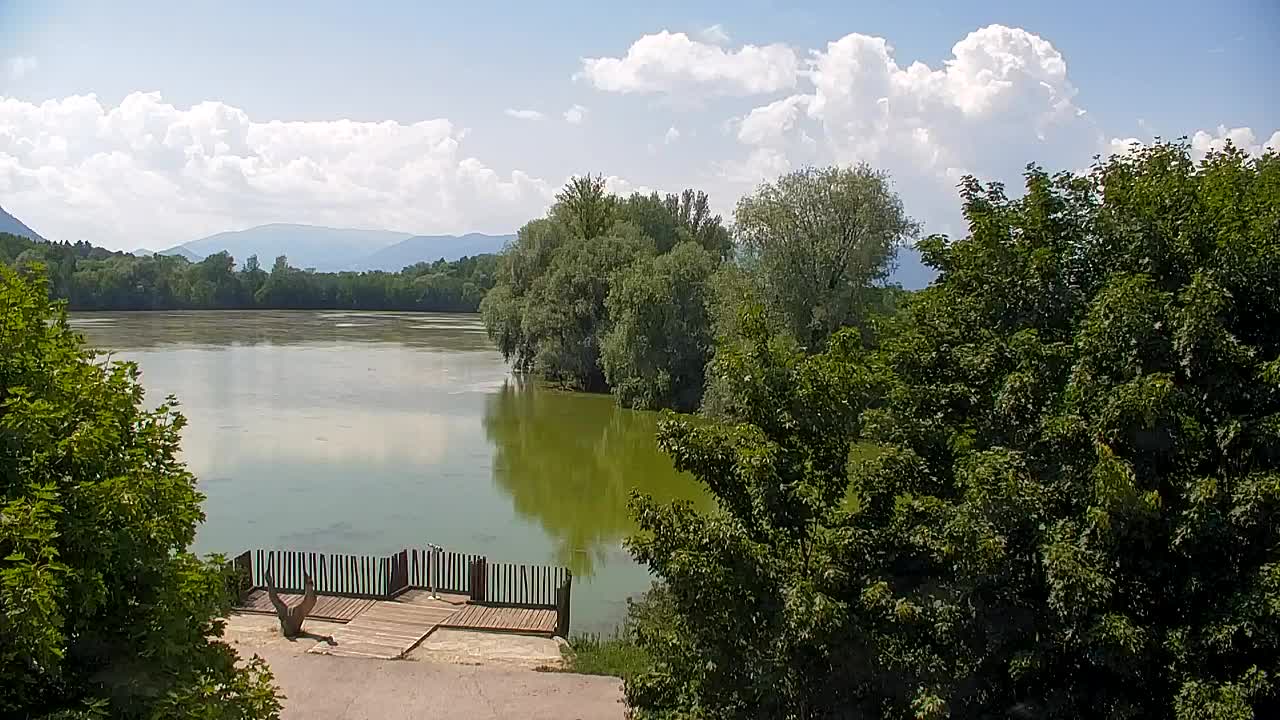 Webcam Ribnik Vrbje – Žalec
