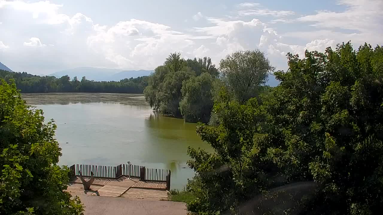 Webcam Ribnik Vrbje – Žalec