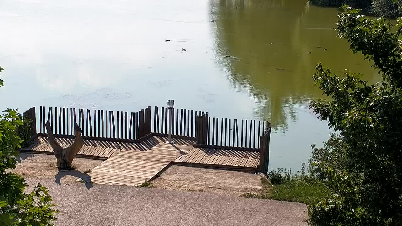 Webcam Ribnik Vrbje – Žalec