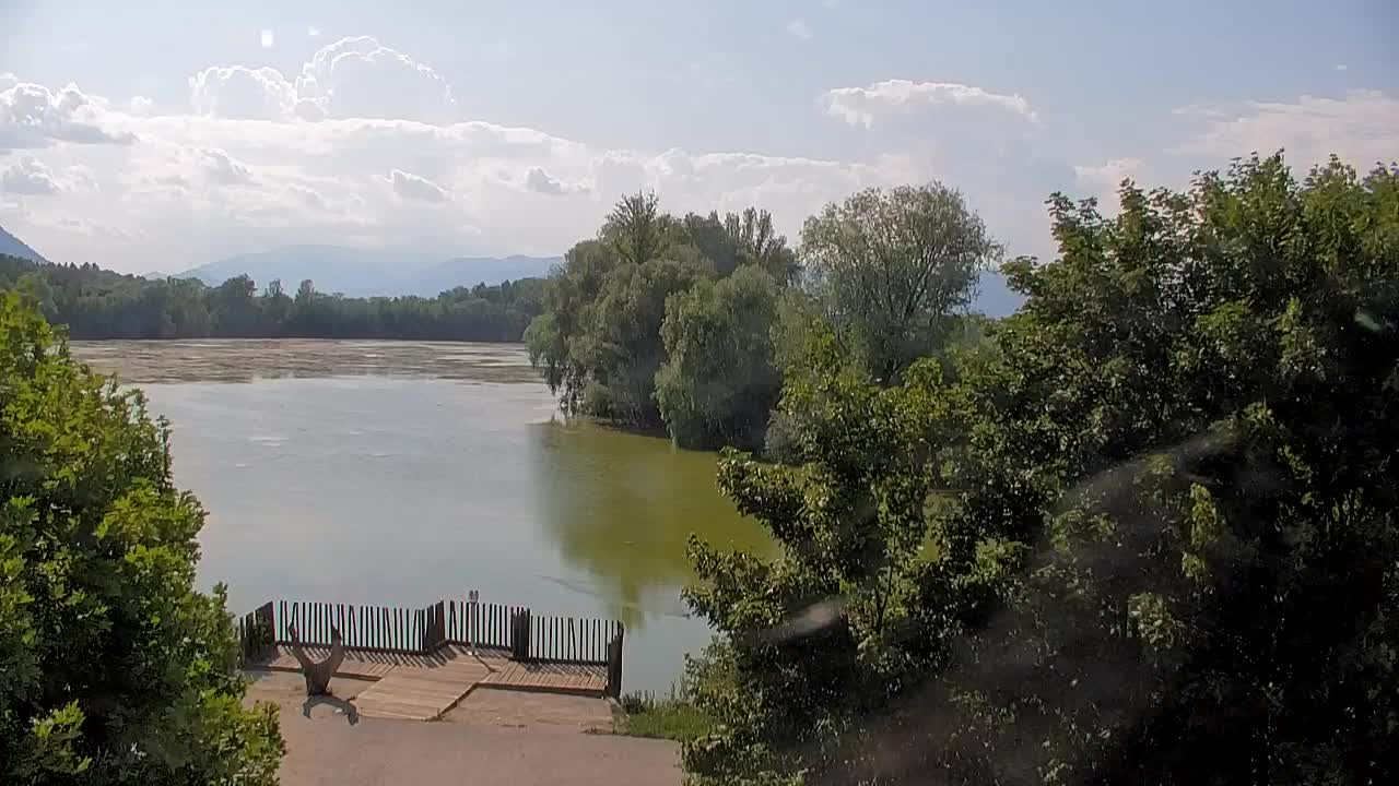 Webcam Ribnik Vrbje – Žalec