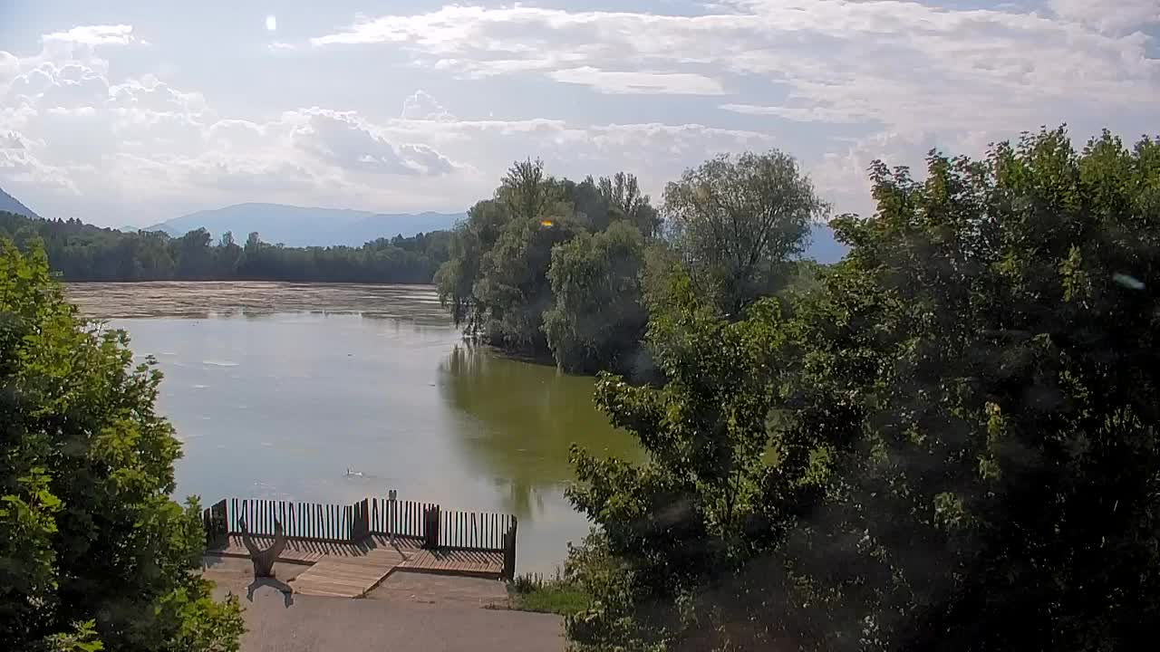 Webcam Ribnik Vrbje – Žalec
