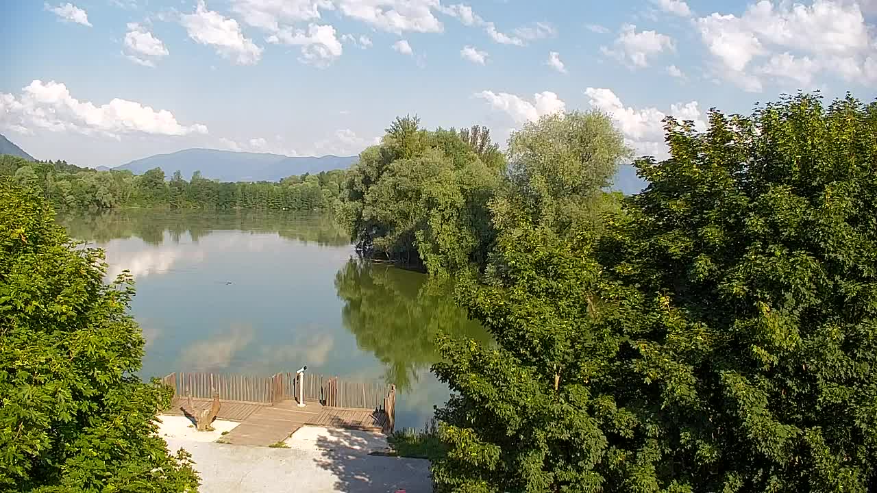 Webcam Ribnik Vrbje – Žalec