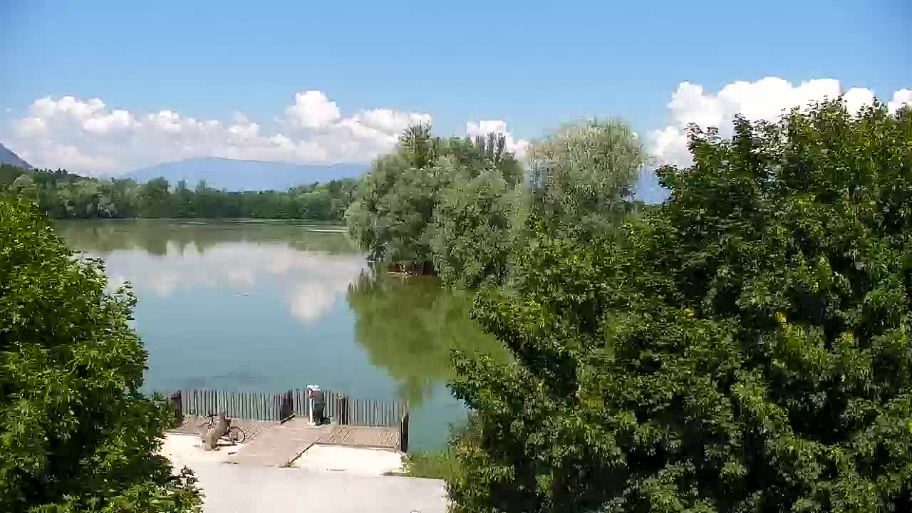 Webcam Ribnik Vrbje – Žalec