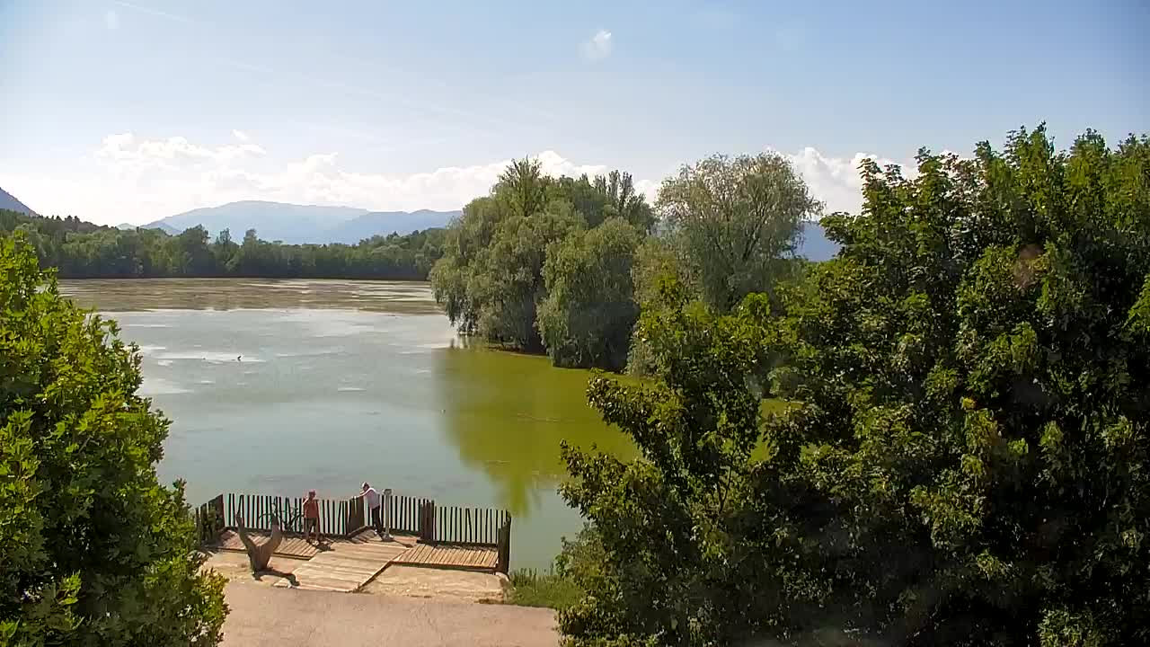 Webcam Ribnik Vrbje – Žalec