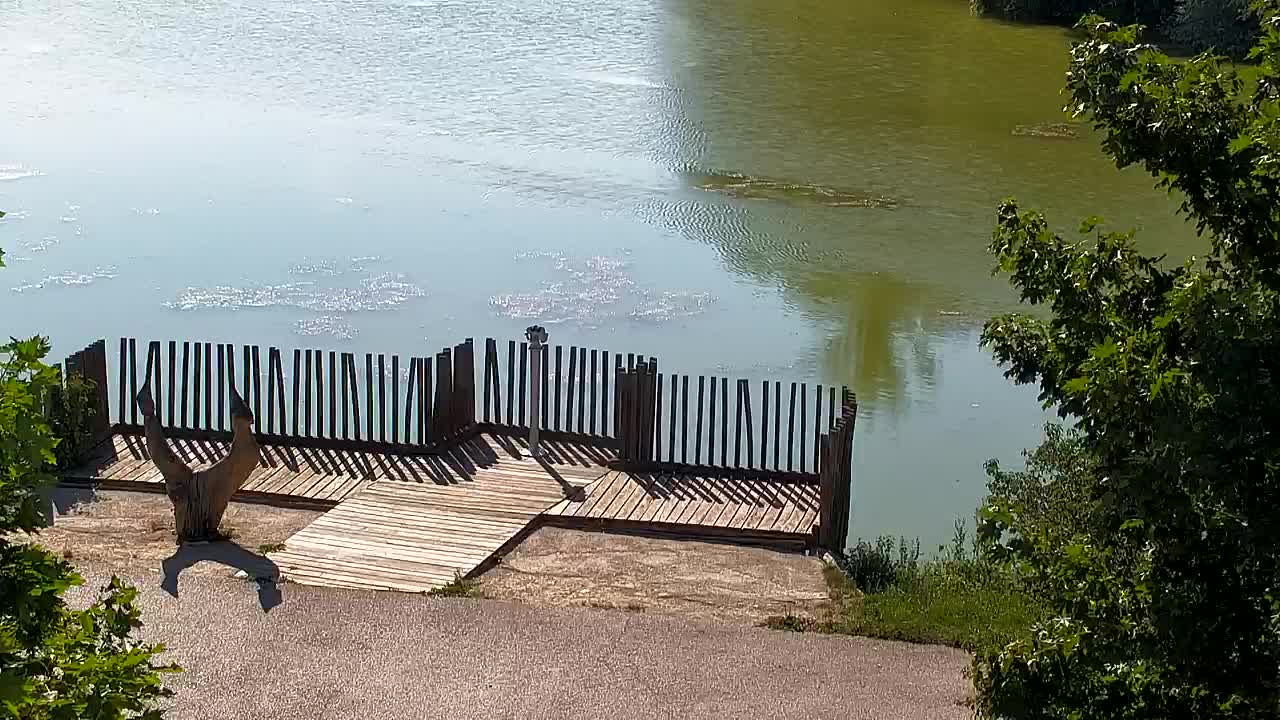 Webcam Ribnik Vrbje – Žalec