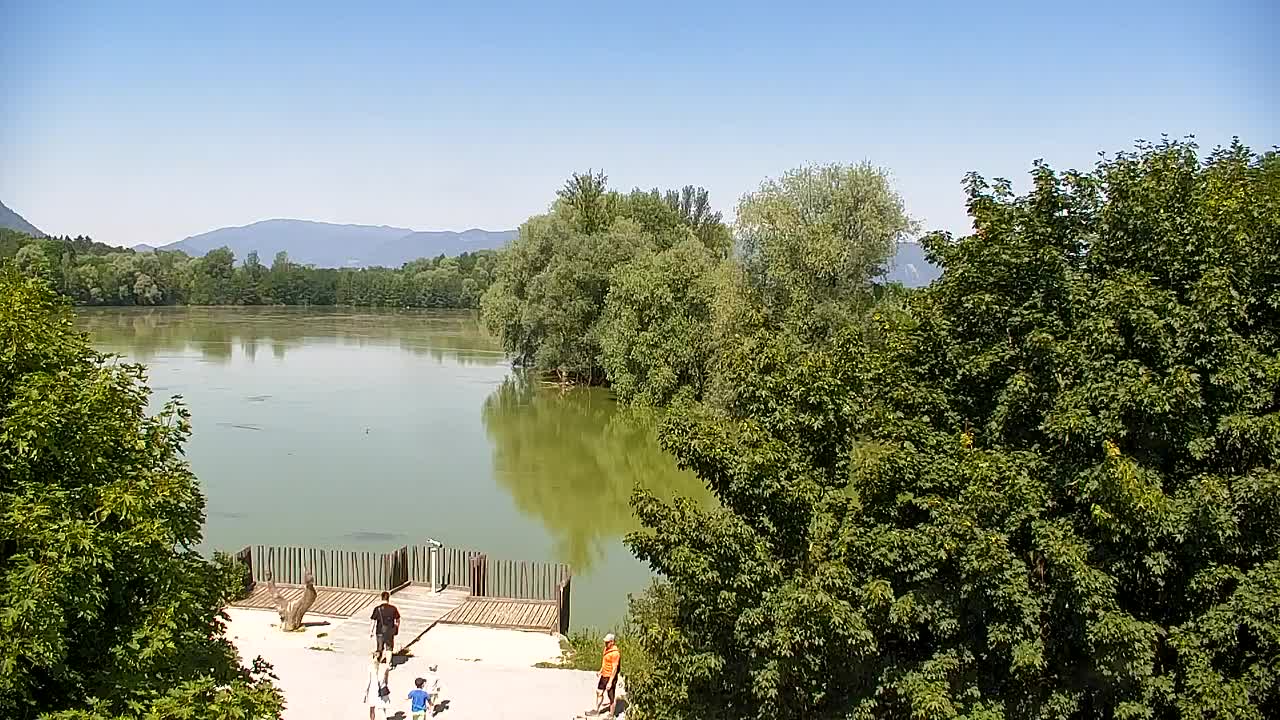 Webcam Ribnik Vrbje – Žalec