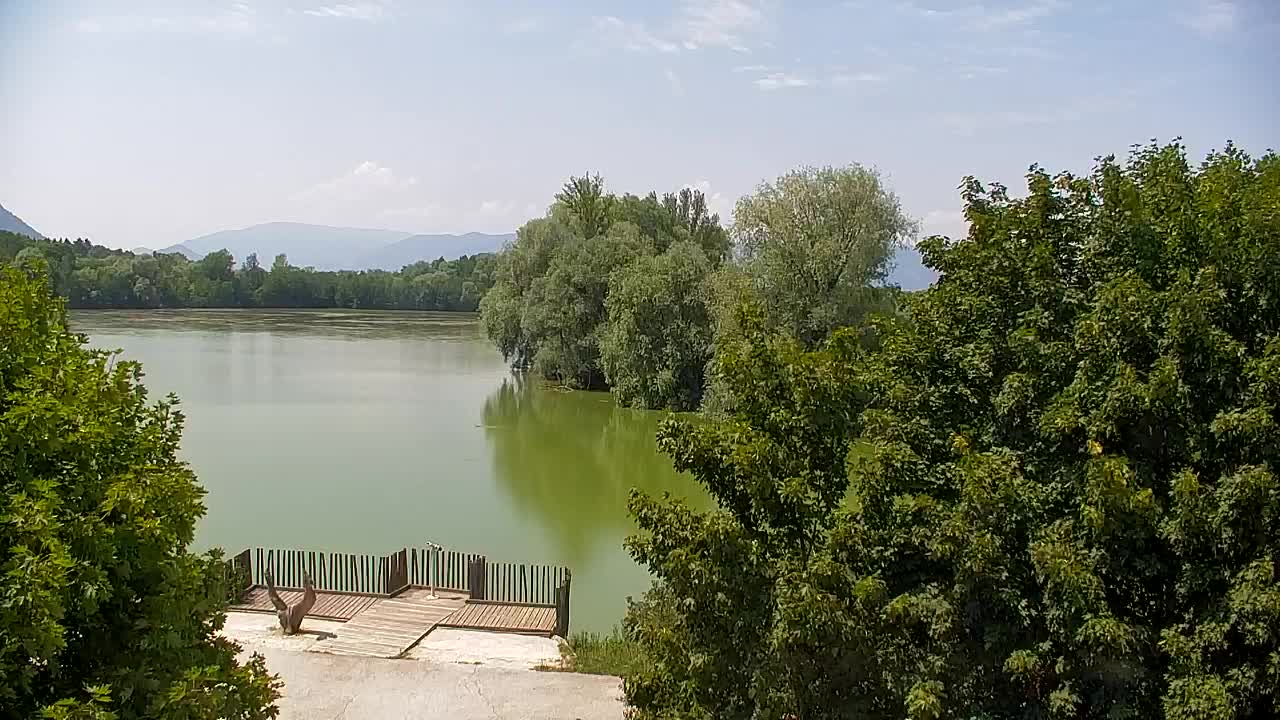 Webcam Ribnik Vrbje – Žalec