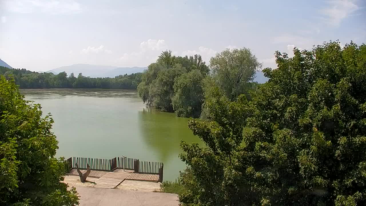 Spletna kamera Ribnik Vrbje – Žalec