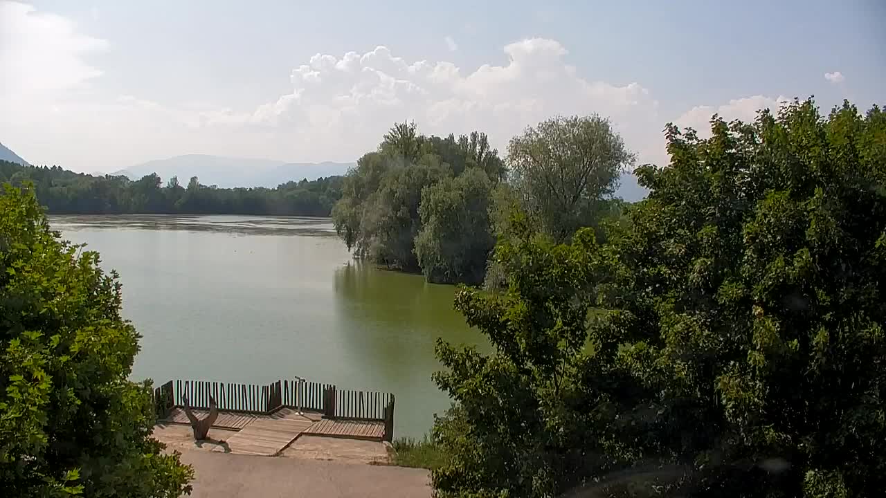 Web kamera Ribnik Vrbje – Žalec