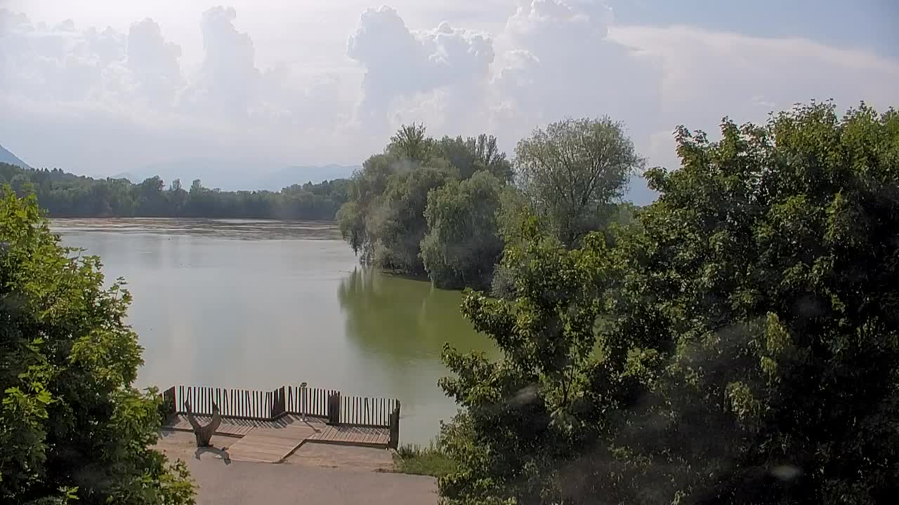 Webcam Ribnik Vrbje – Žalec