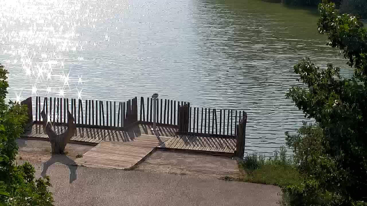 Webcam Ribnik Vrbje – Žalec