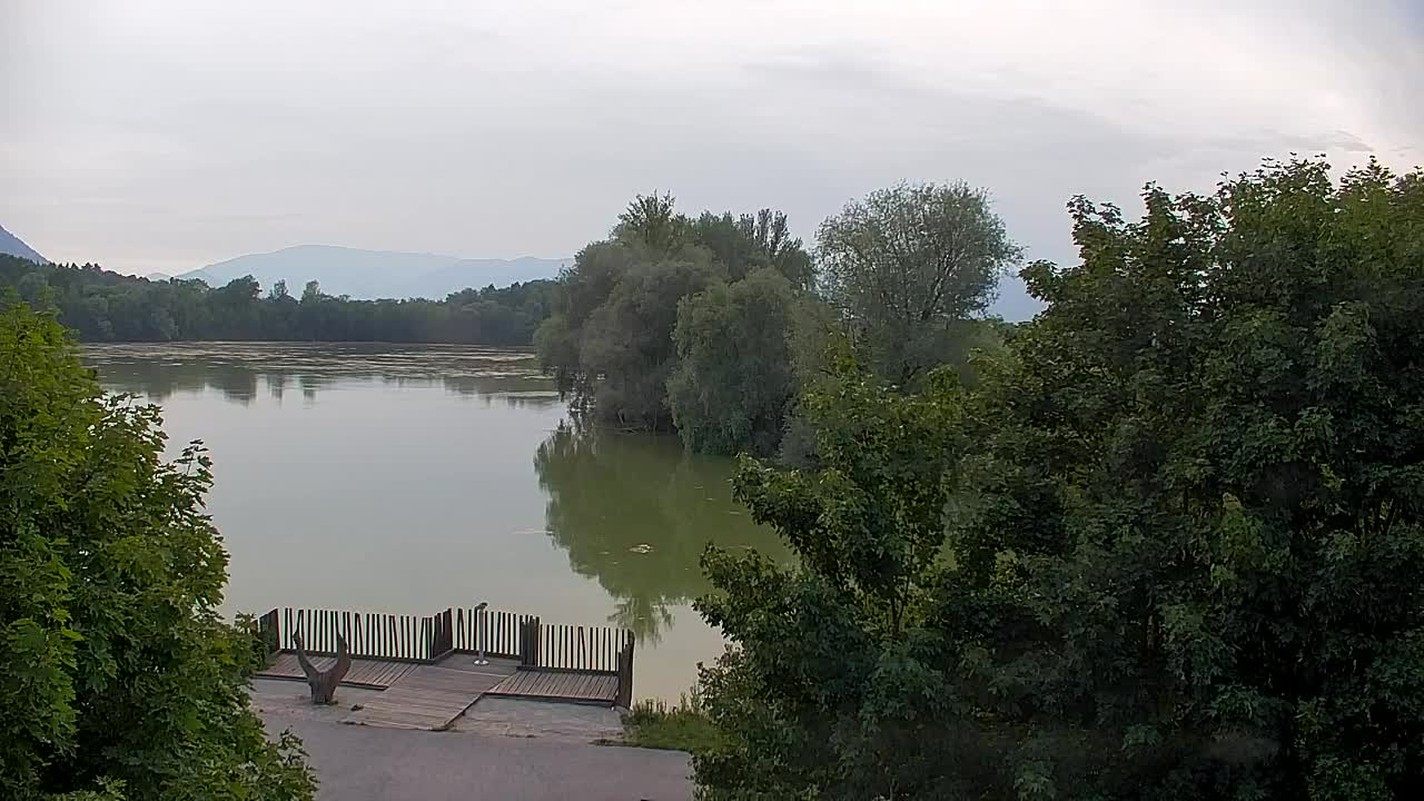 Webcam Ribnik Vrbje – Žalec