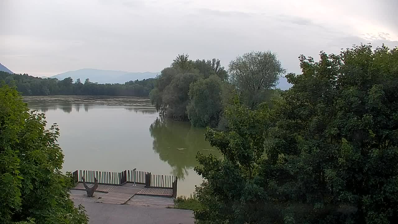 Webcam Ribnik Vrbje – Žalec