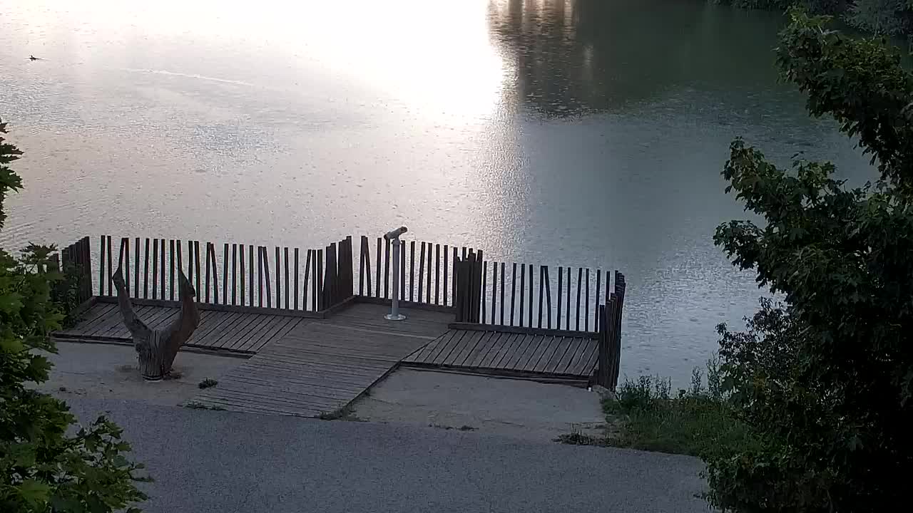 Webcam Ribnik Vrbje – Žalec
