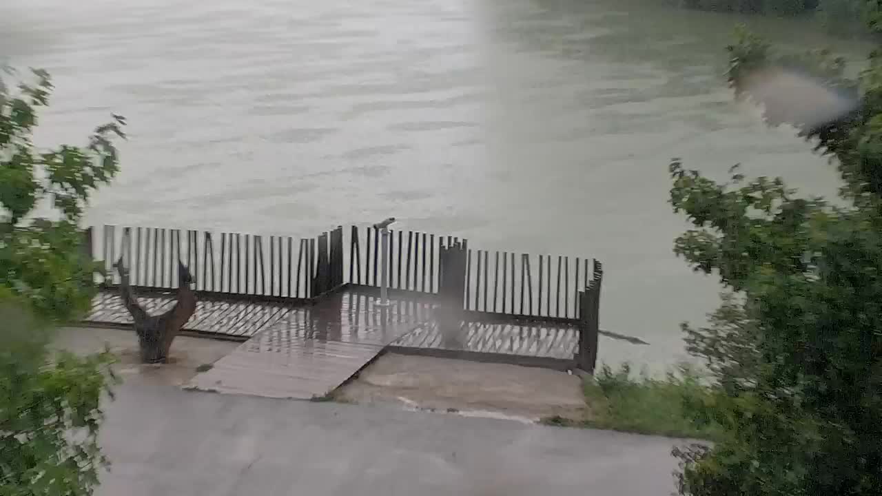 Spletna kamera Ribnik Vrbje – Žalec