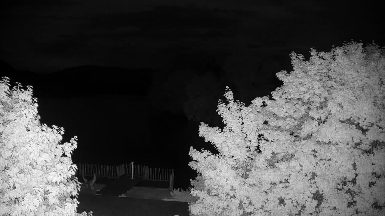 Webcam Ribnik Vrbje – Žalec