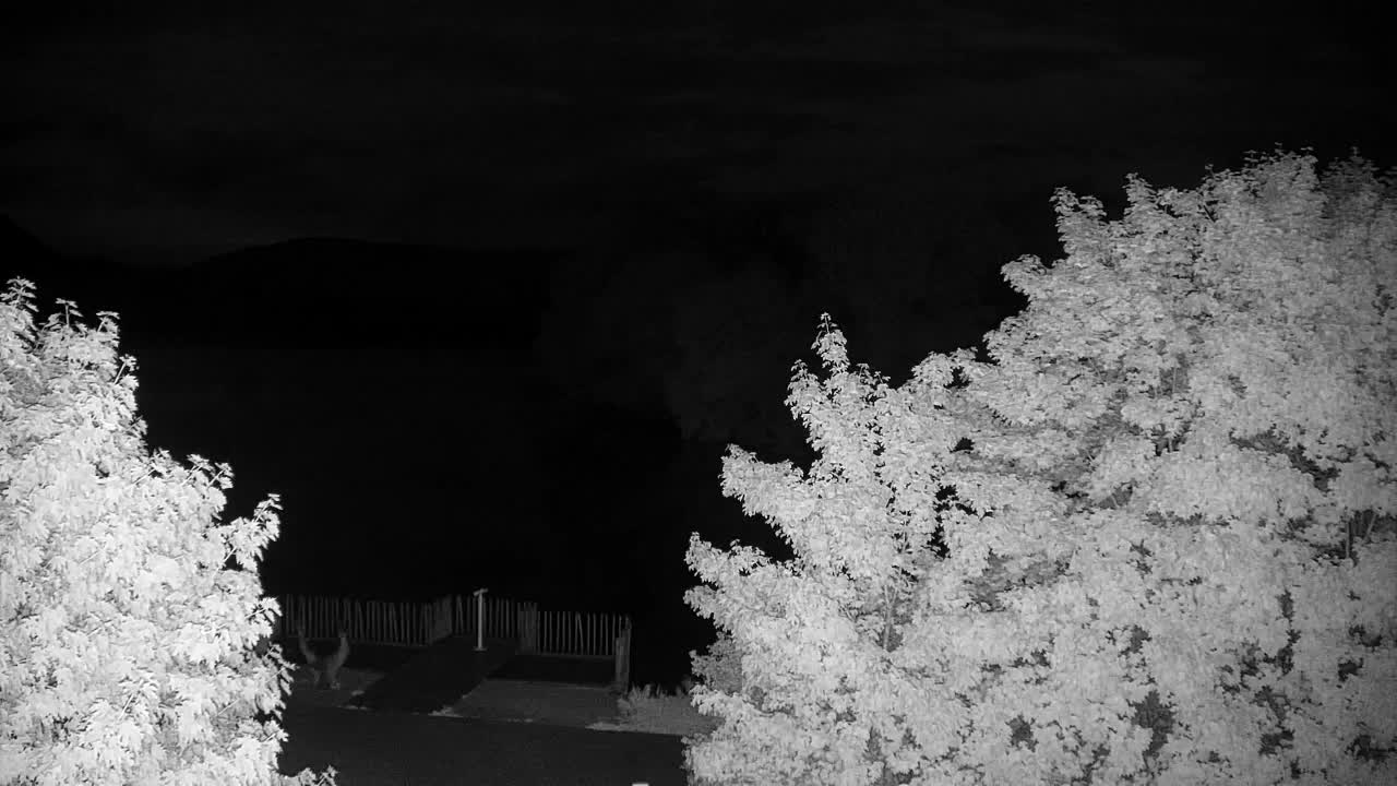 Spletna kamera Ribnik Vrbje – Žalec