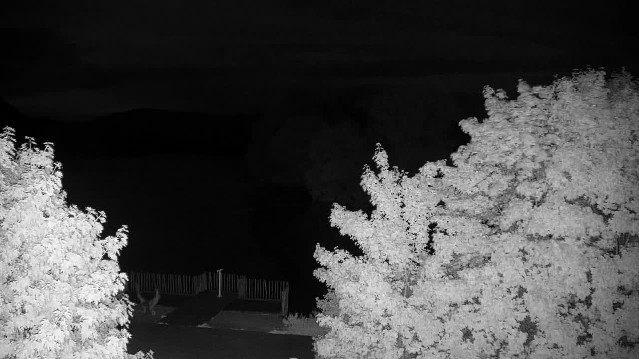 Webcam Ribnik Vrbje – Žalec