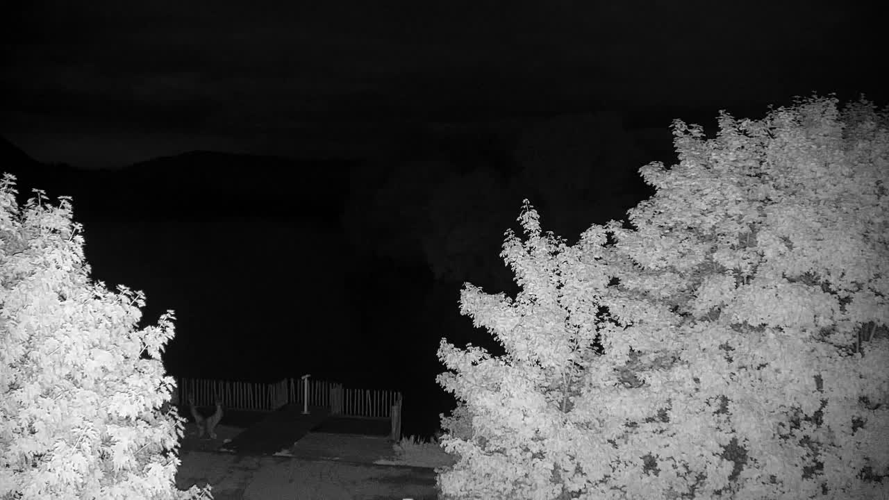 Webcam Ribnik Vrbje – Žalec