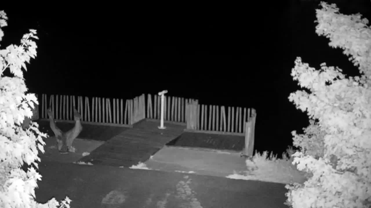 Spletna kamera Ribnik Vrbje – Žalec