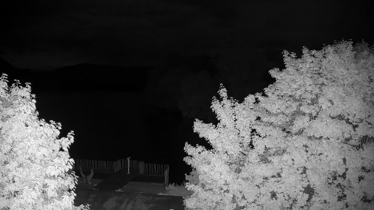 Webcam Ribnik Vrbje – Žalec