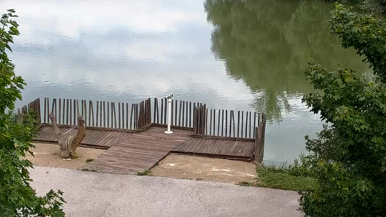 Spletna kamera Ribnik Vrbje – Žalec