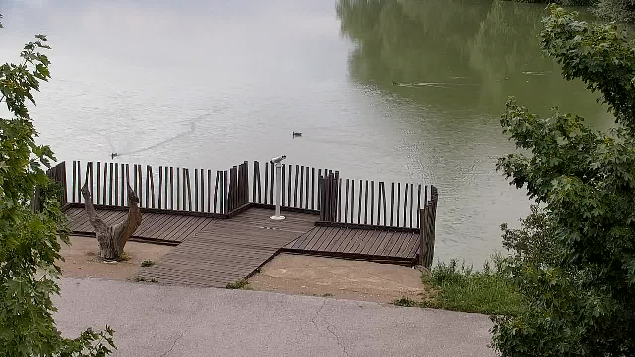 Webcam Ribnik Vrbje – Žalec