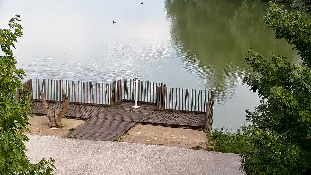 Webcam Ribnik Vrbje – Žalec