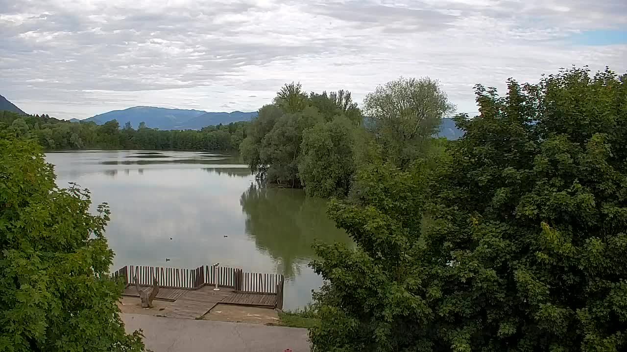 Webcam Ribnik Vrbje – Žalec