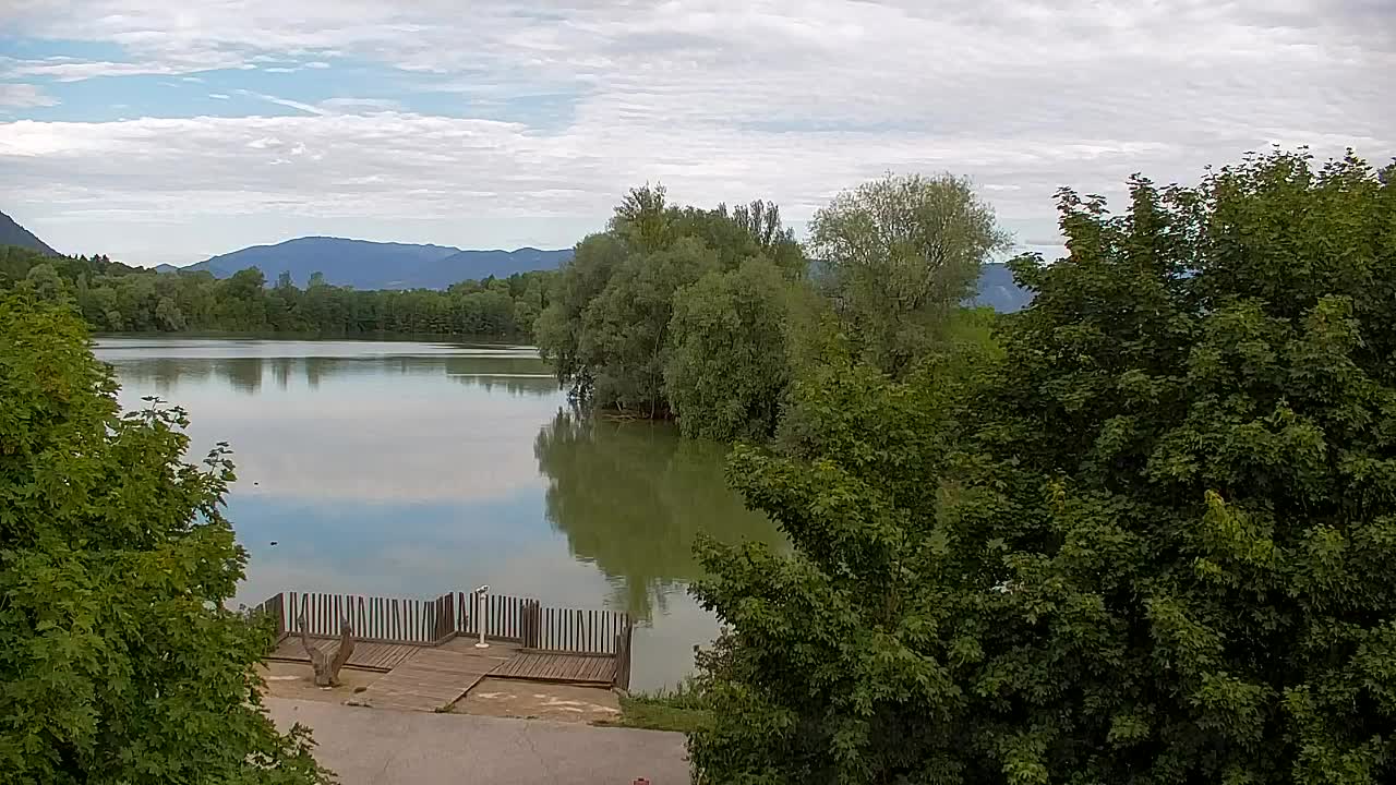 Webcam Ribnik Vrbje – Žalec