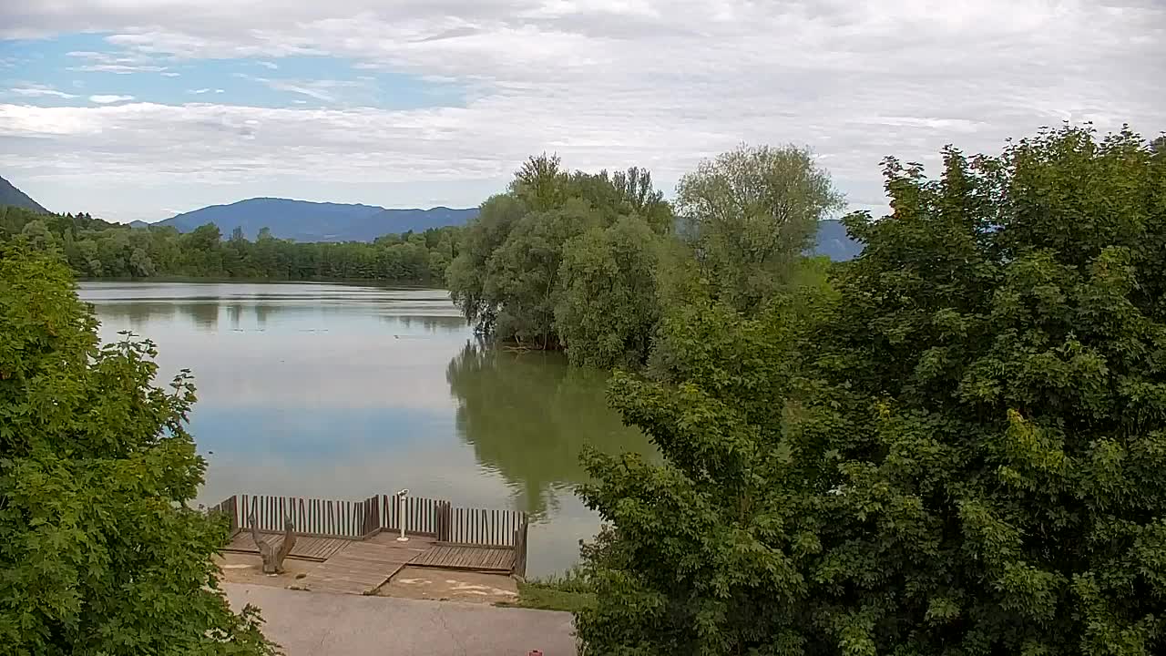 Web kamera Ribnik Vrbje – Žalec